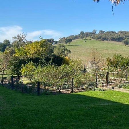 Mount Hope Estate Vineyard Apartment Dixons Creek Bagian luar foto