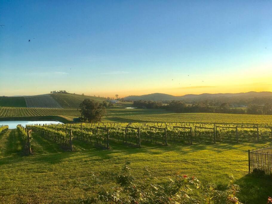 Mount Hope Estate Vineyard Apartment Dixons Creek Bagian luar foto