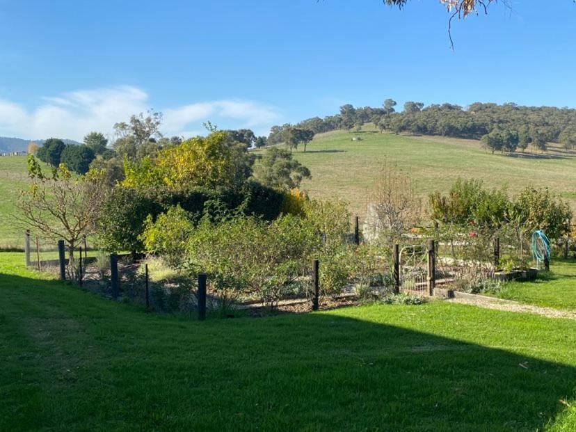 Mount Hope Estate Vineyard Apartment Dixons Creek Bagian luar foto